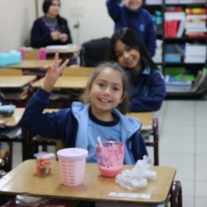 Día de la Actividad Física